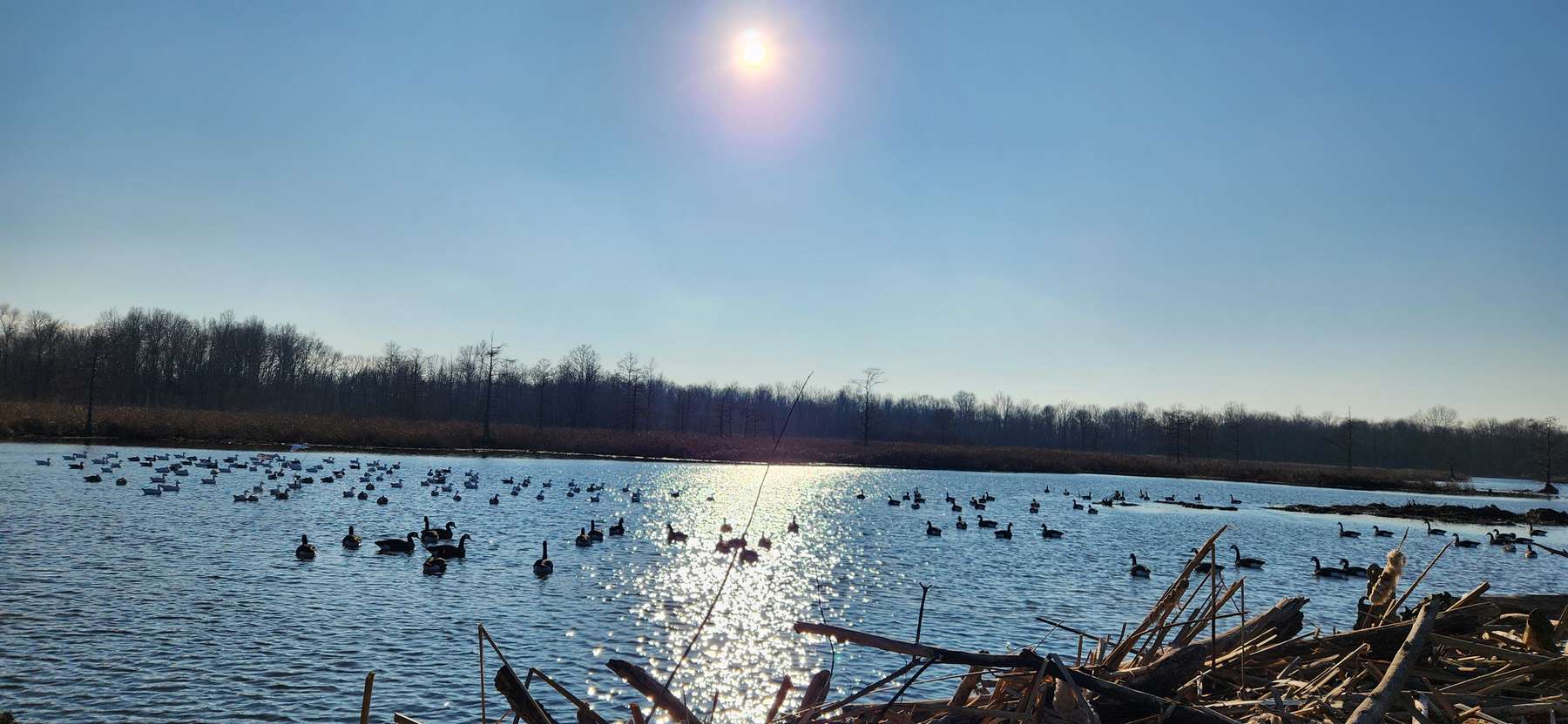200 acre KY Waterfowl, Ducks and Turkey