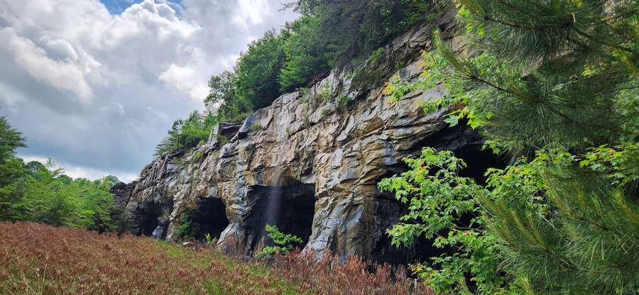 Edmonson County Bluffs