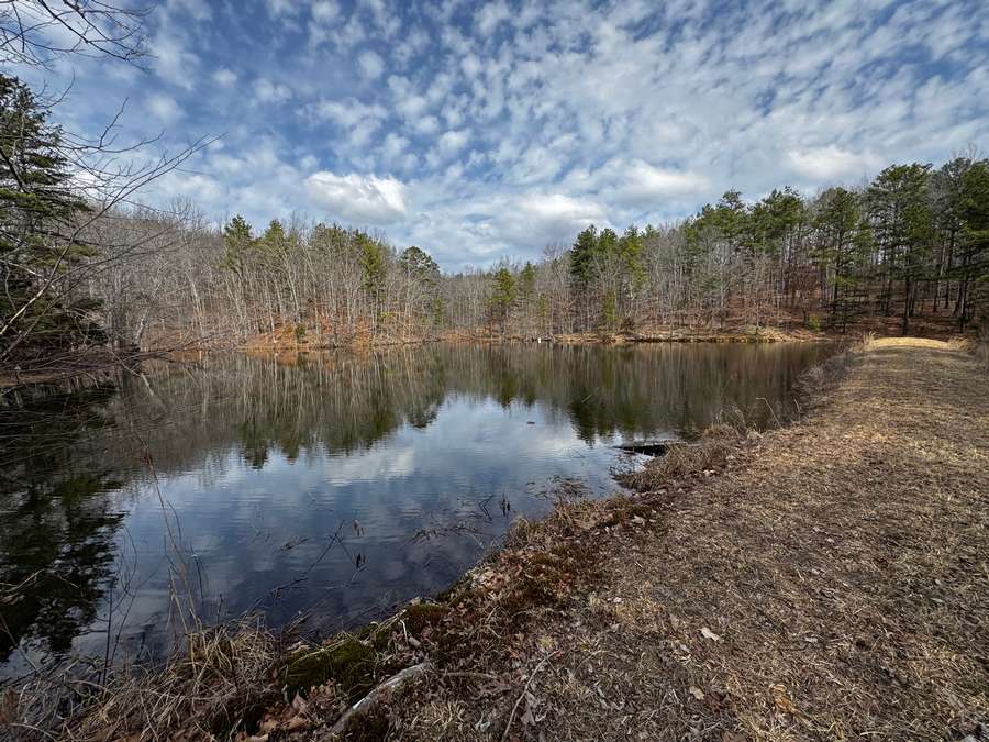 Wayne County 240 acres